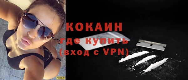 бошки Алексин