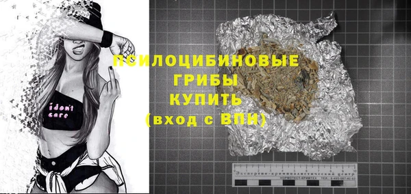 бошки Алексин