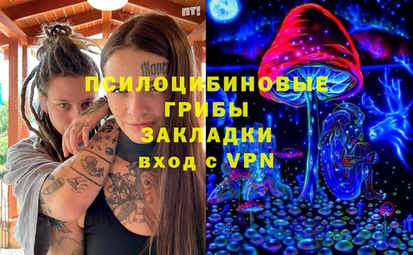 бошки Алексин