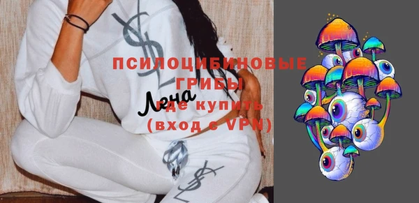 бошки Алексин