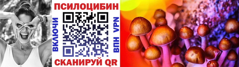 где купить   Боровск  Галлюциногенные грибы Cubensis 